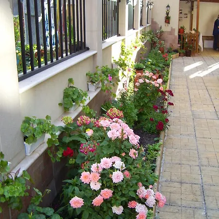Vlasta Sozopol